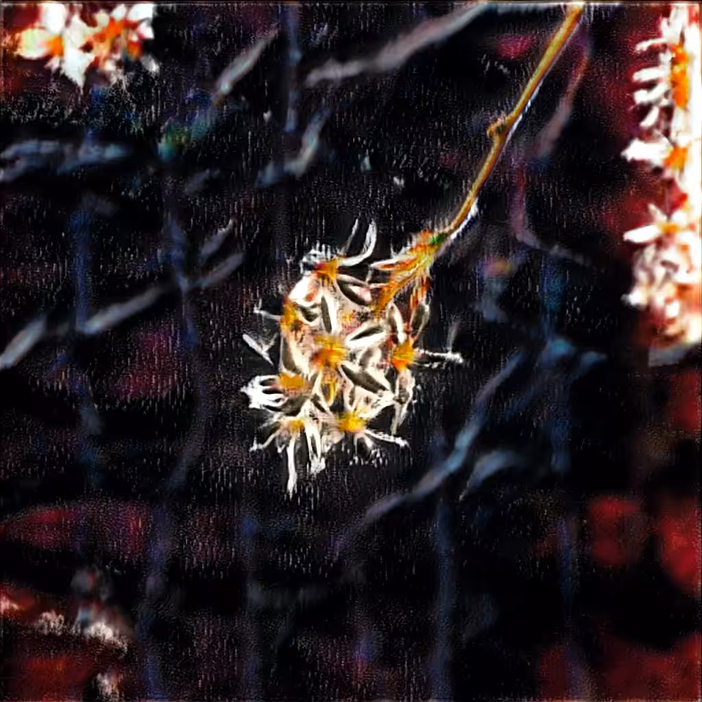 experiments in network blending video no.1