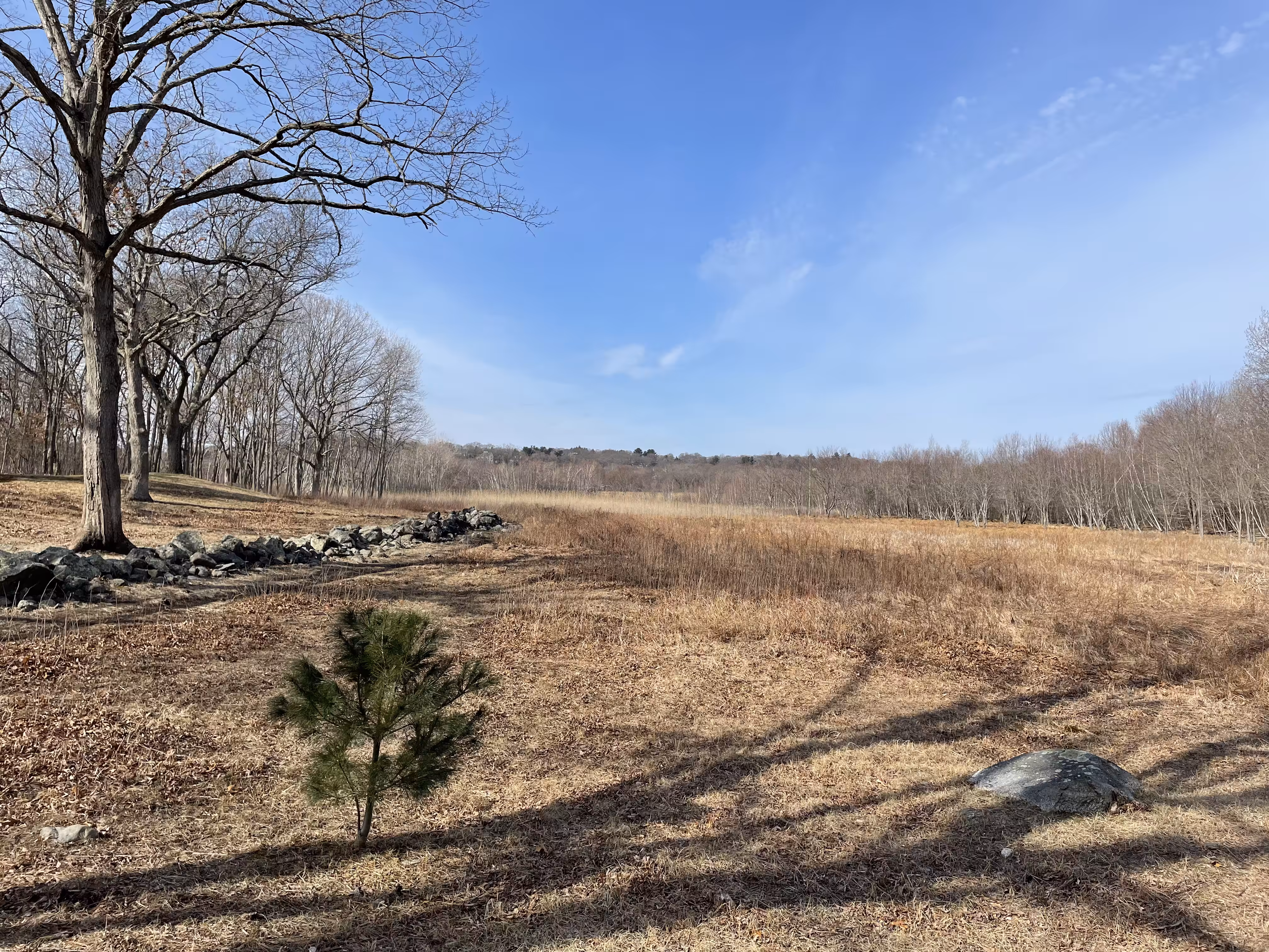 Great Meadows Origin