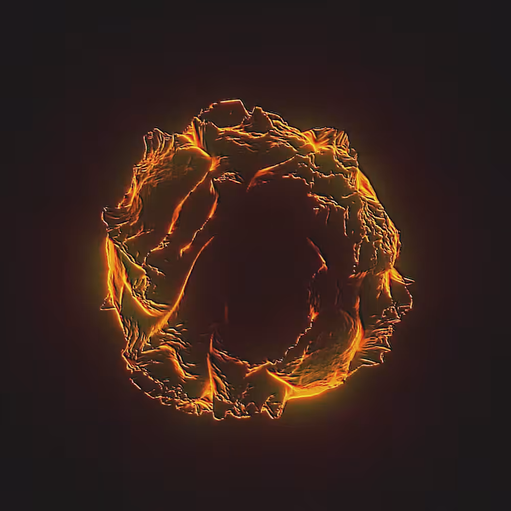 [ OBJKT :: RESIDUAL_ORGANISM ]