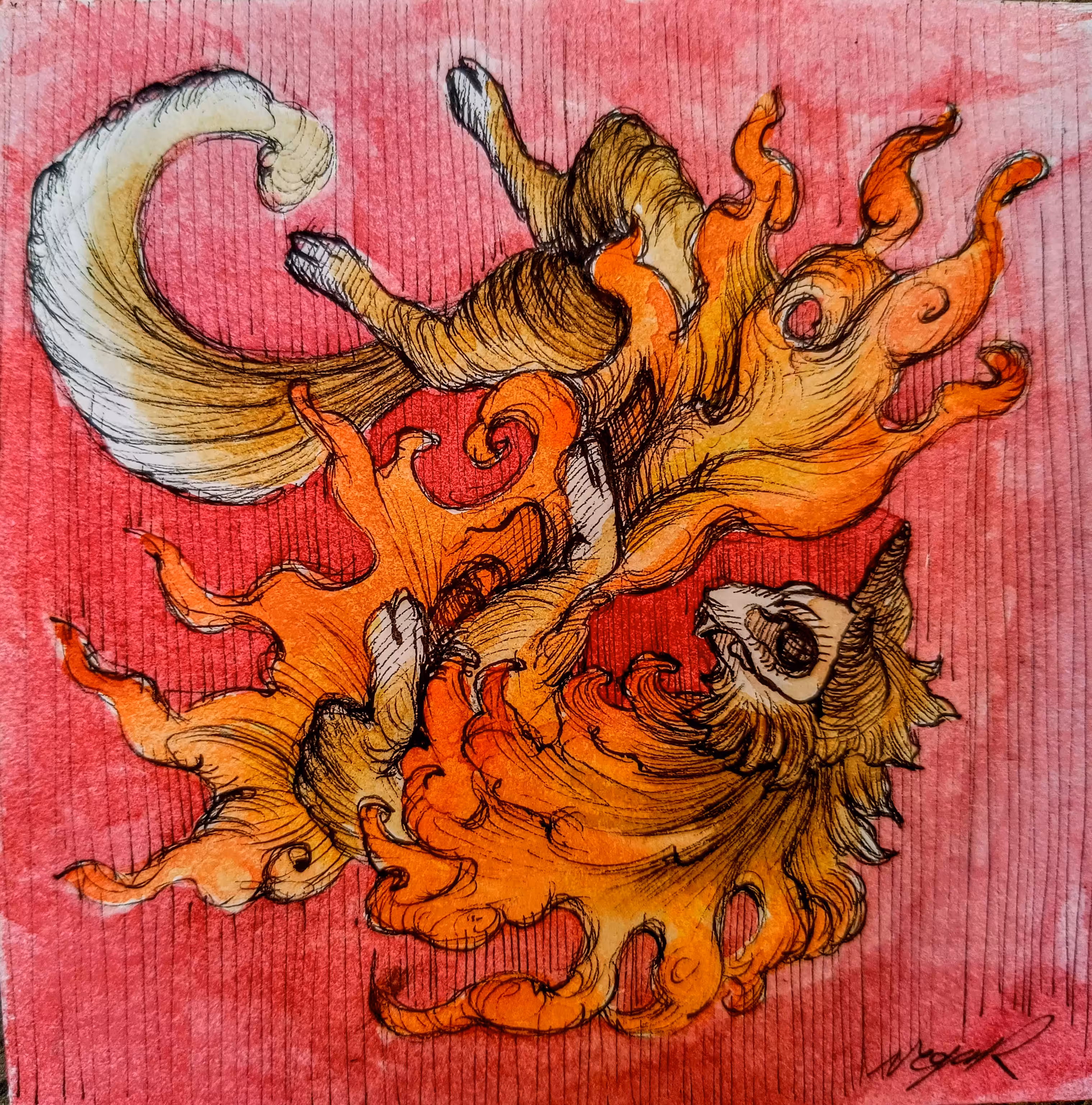 fire cat dancing