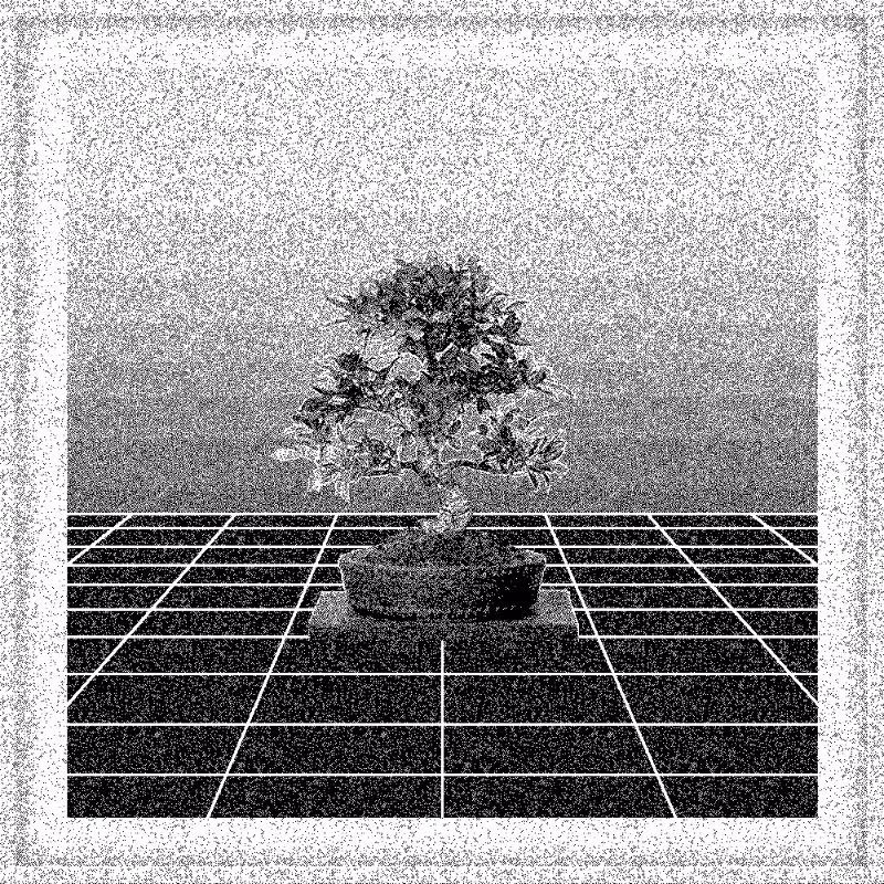 Bonsai Bonanza #462