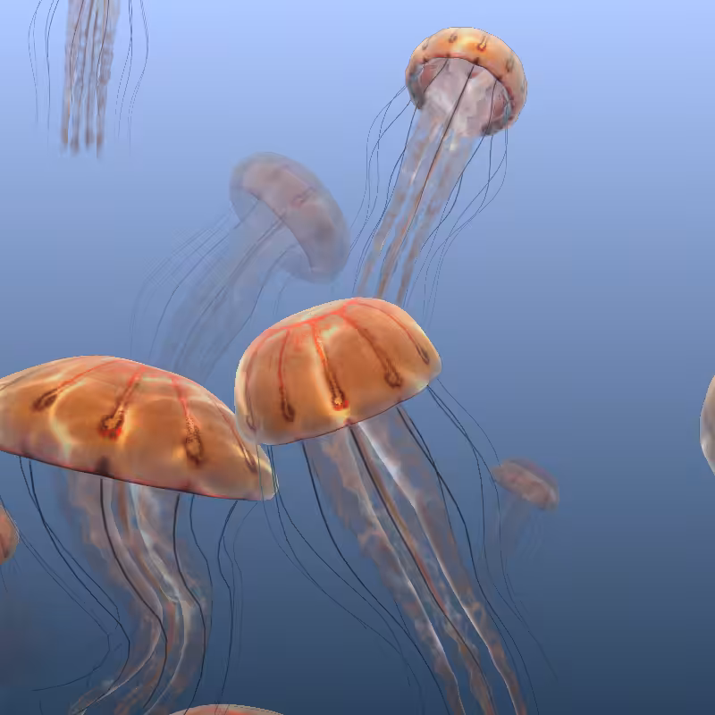 Jellyfish #7