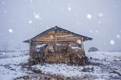 My Village