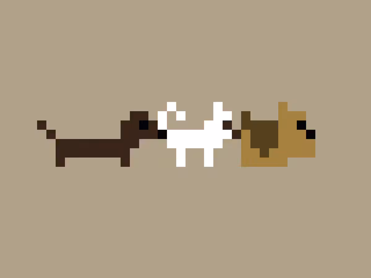 dogs
