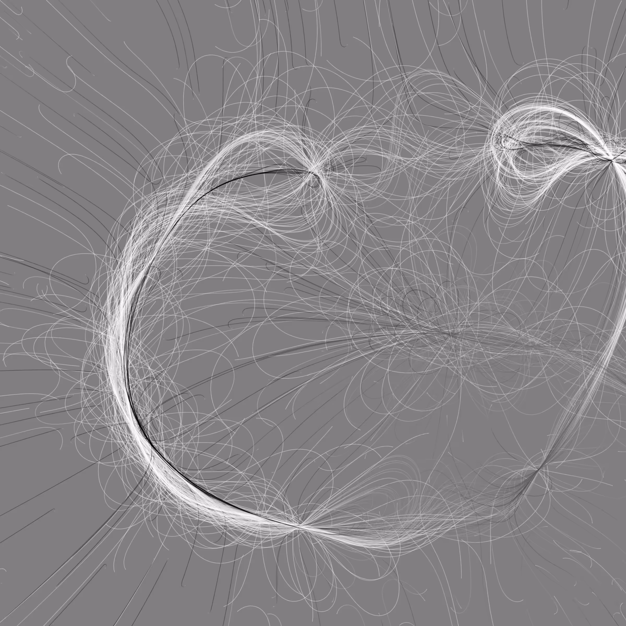 Phototaxis #992
