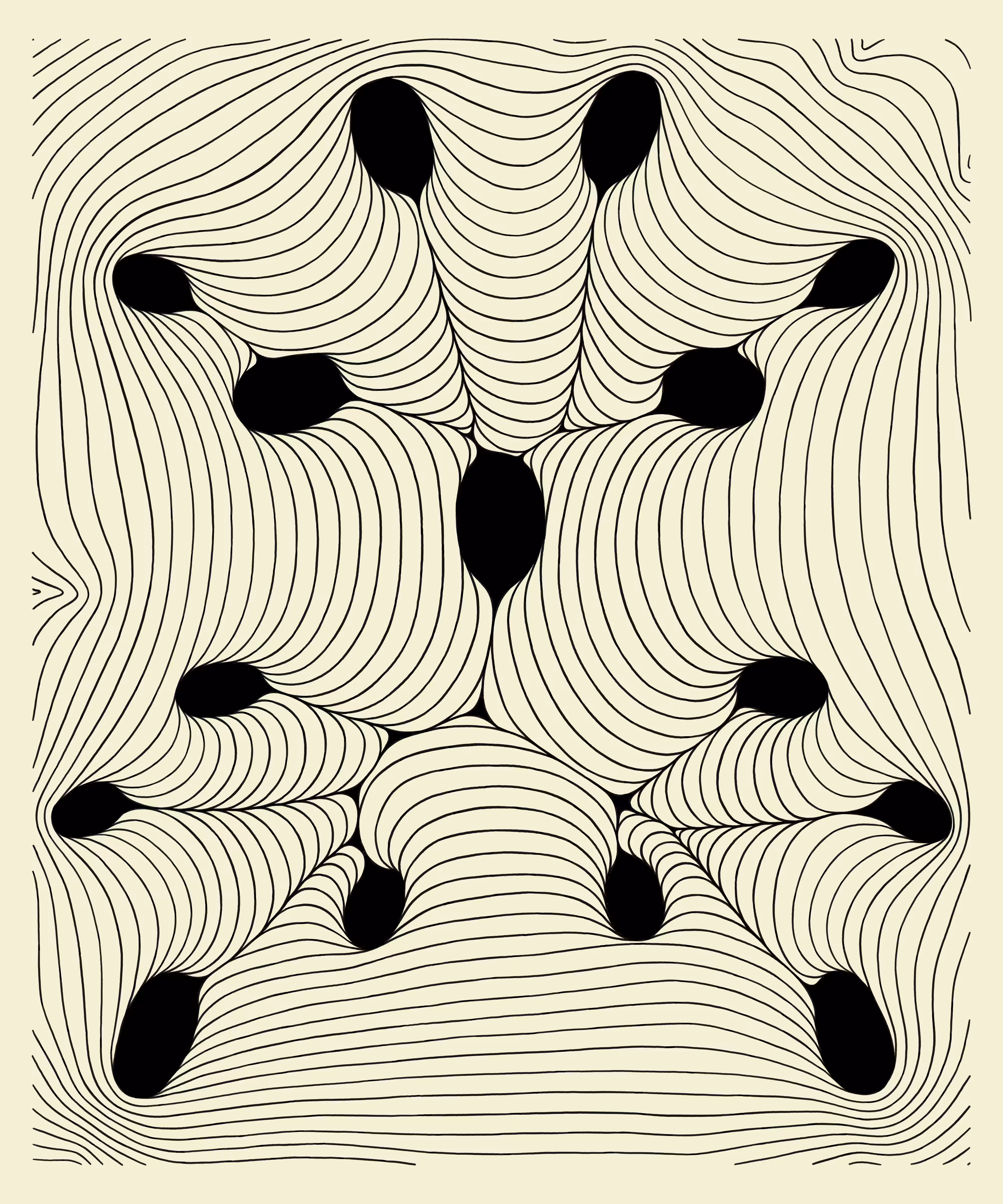 Fields: field 48