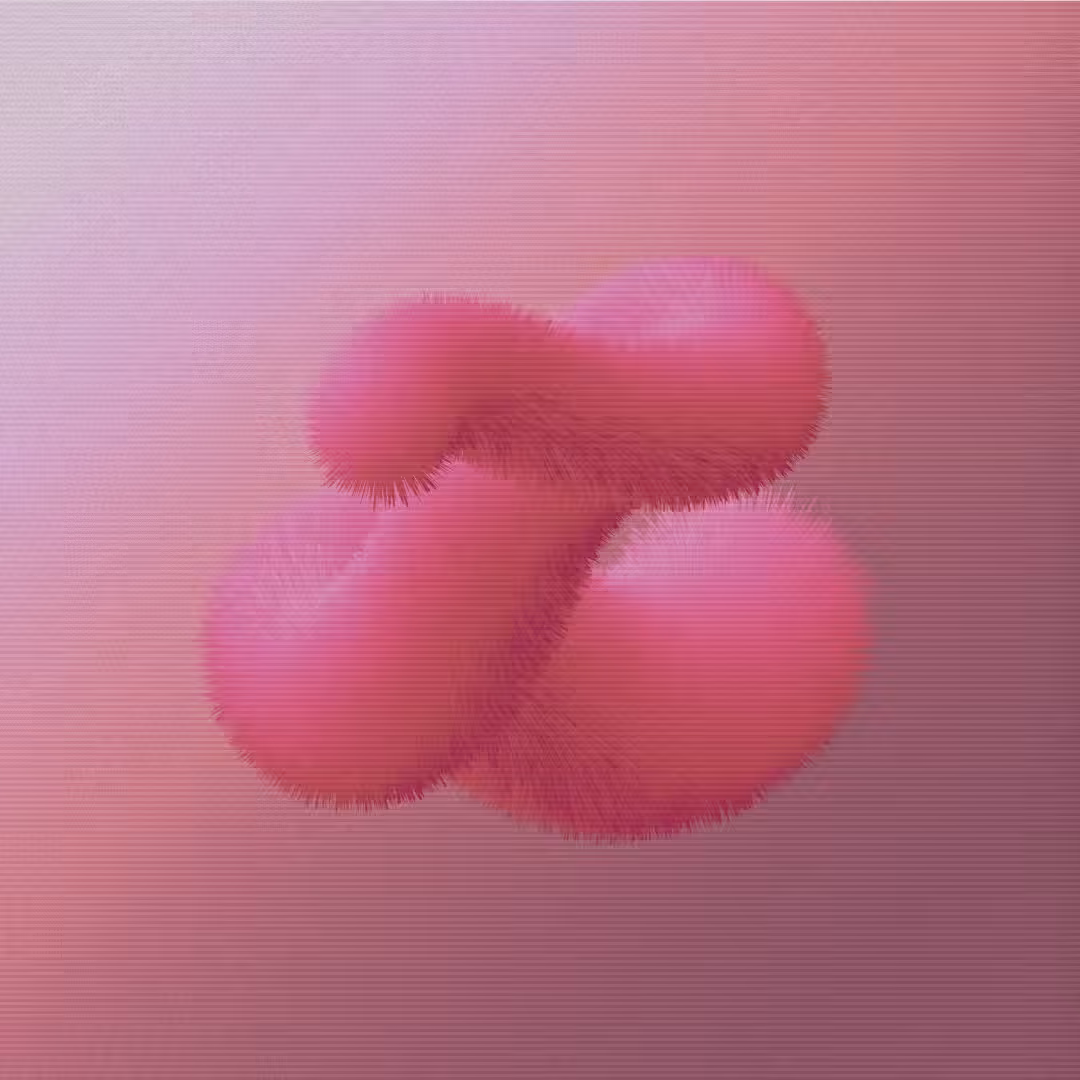 Wonderful Curves #14