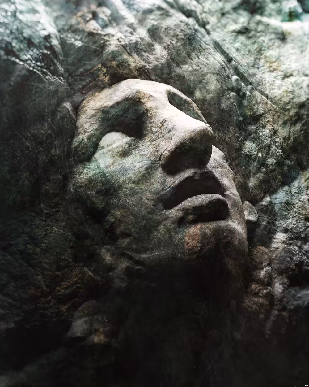 Petrified