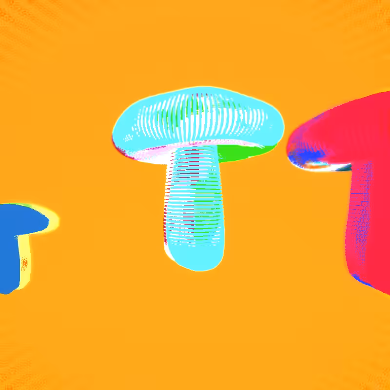 🍄 shr00mz 🍄 #17
