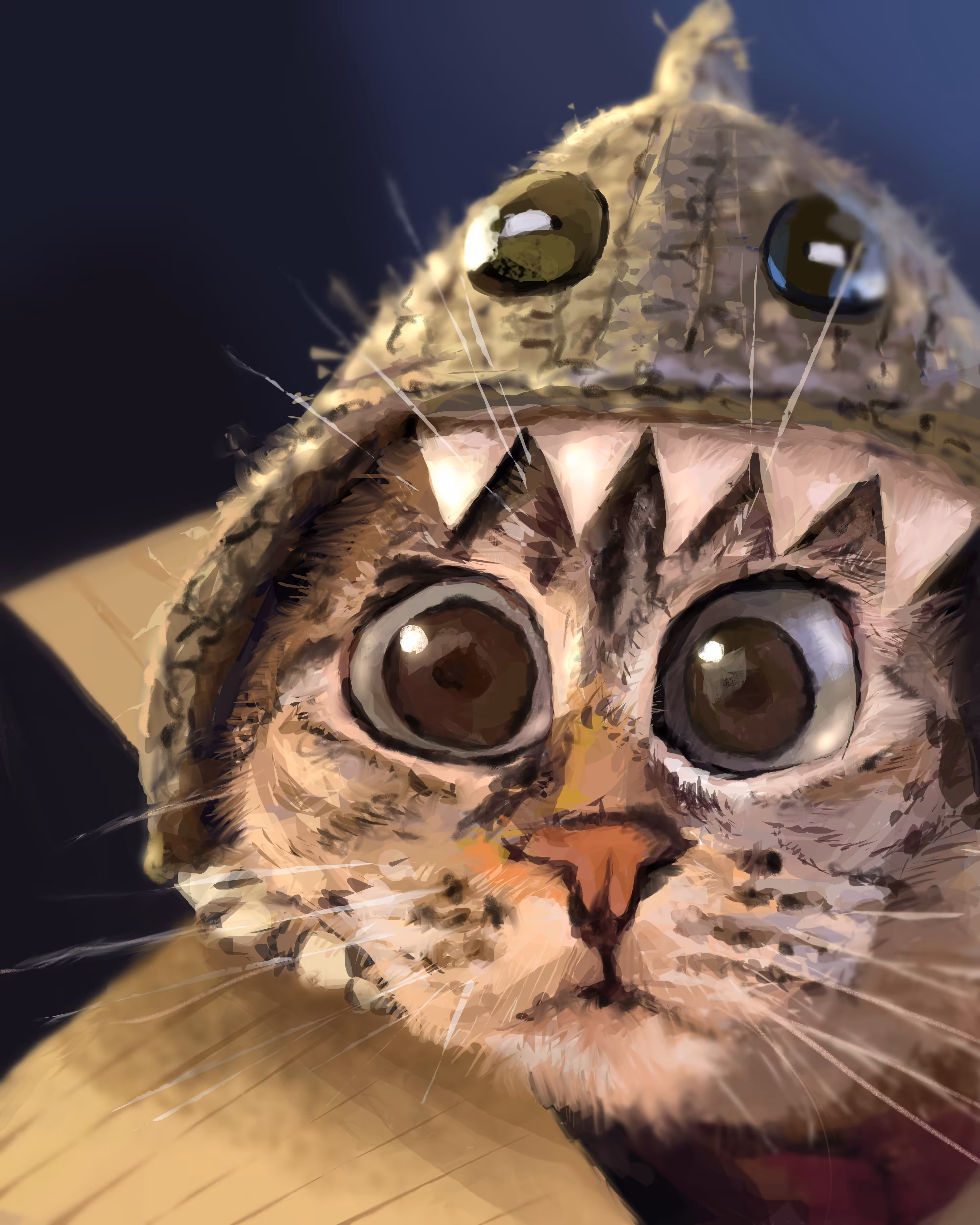 001 - Catshark