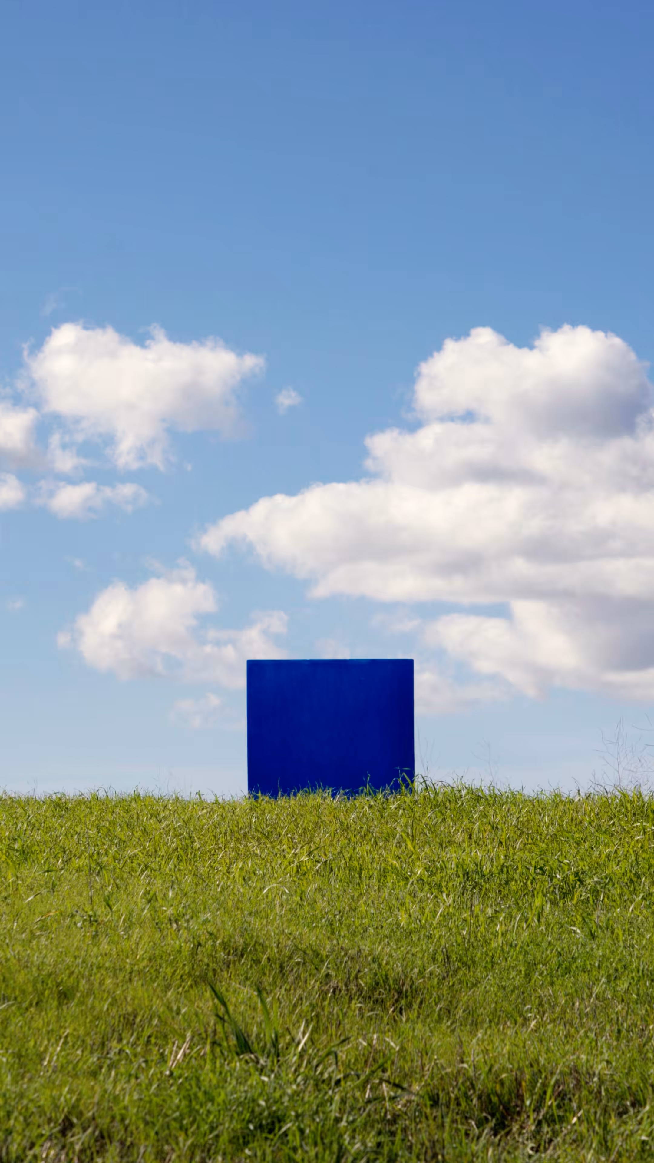 The Portals: Kinesis – Grass and Clouds, 02.09.2024, Santa Barbara County, CA