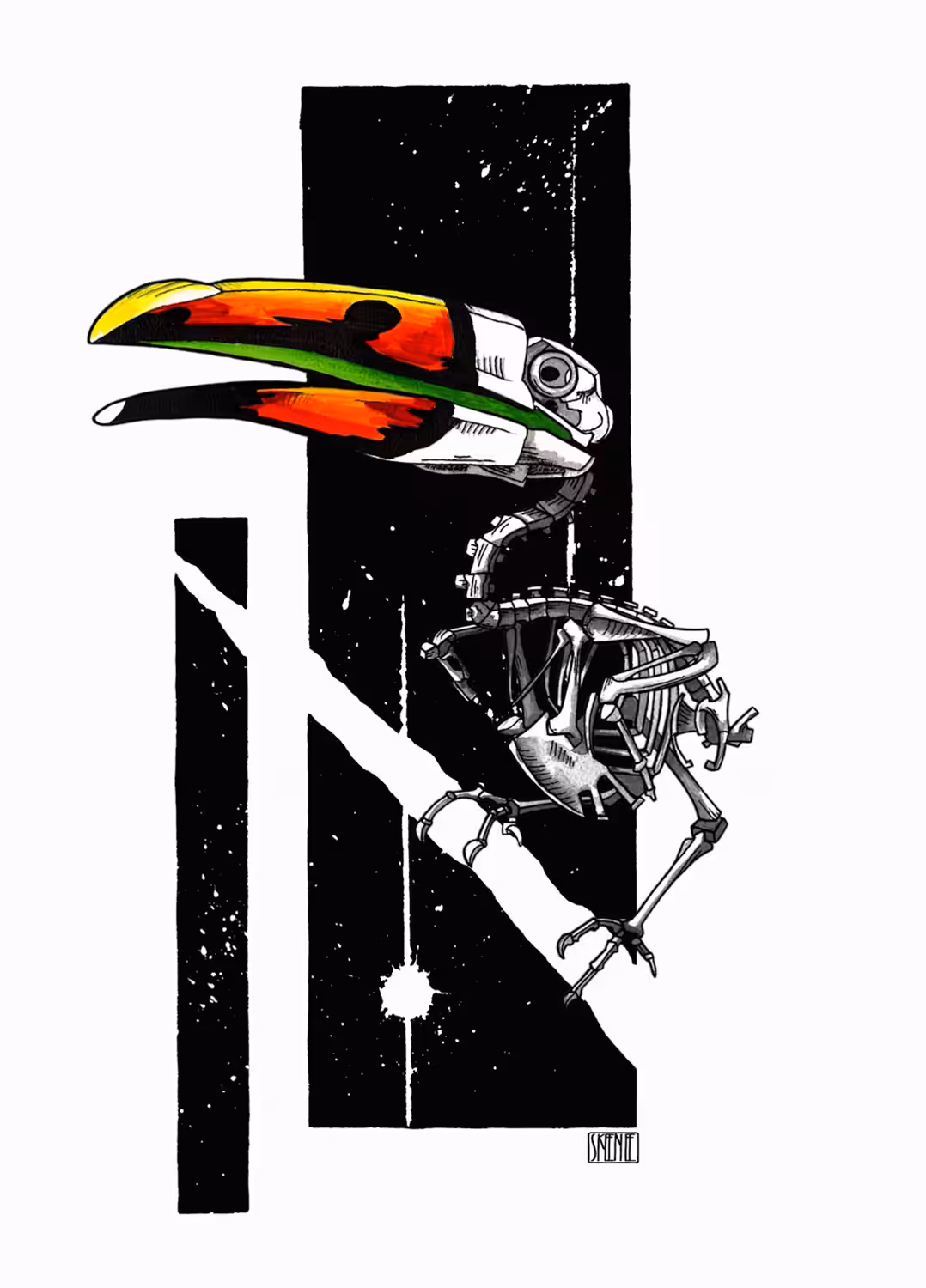 Re-animated Toucan Skeleton