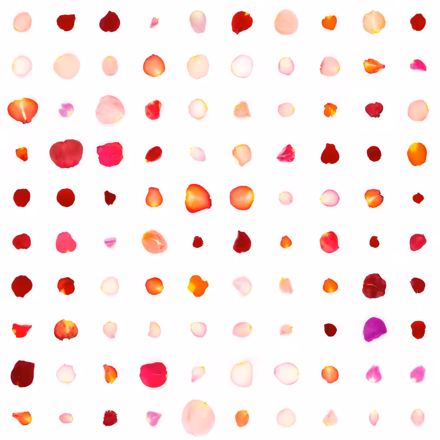 Infinite Petals 10x10#2640