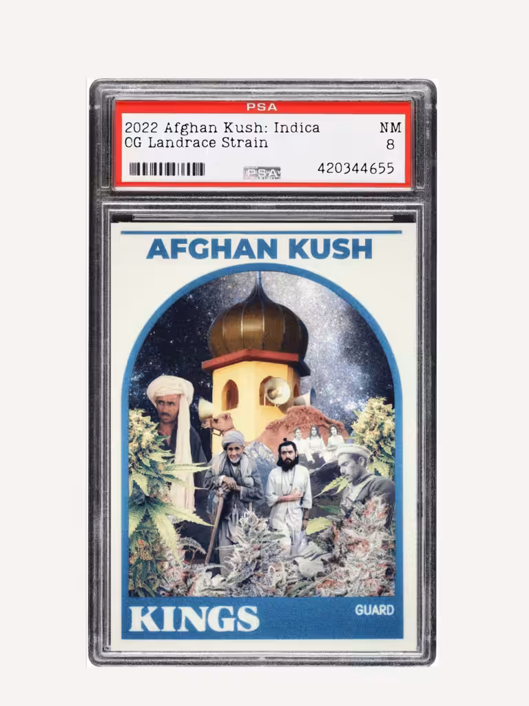 2022 Afghan Kush TC: Indica (Landrace/seed)