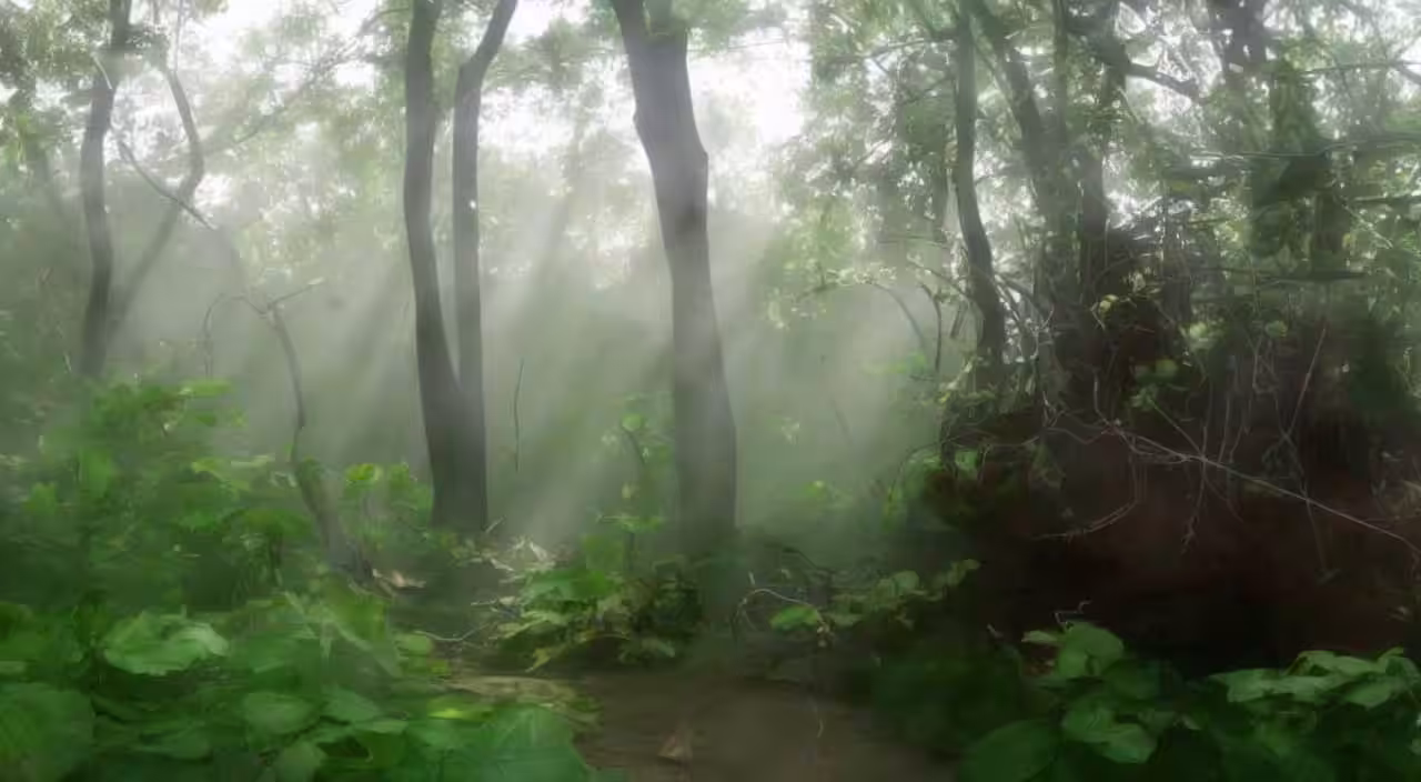 Milo Poelman - Forest 2 - Circuting