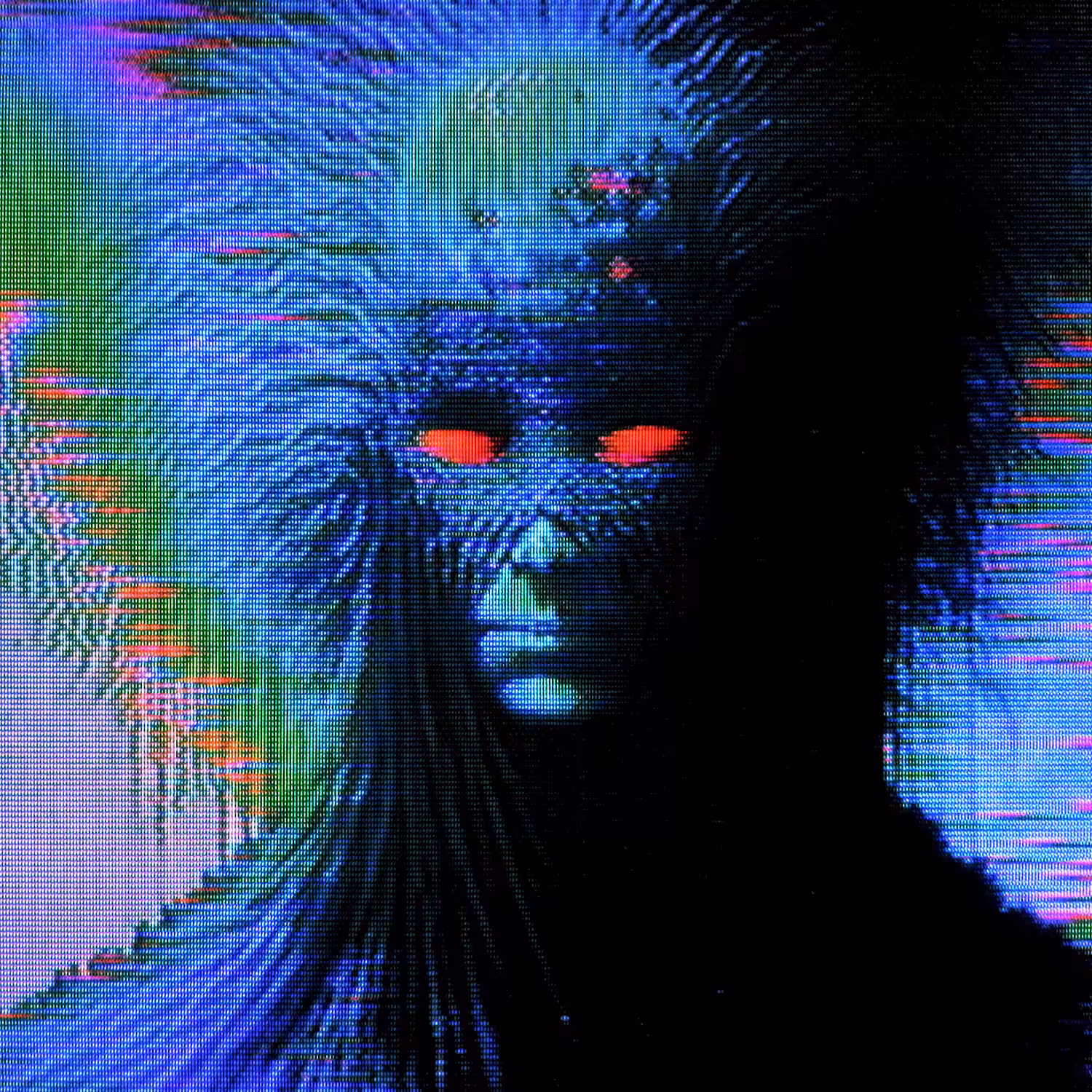HUNTER