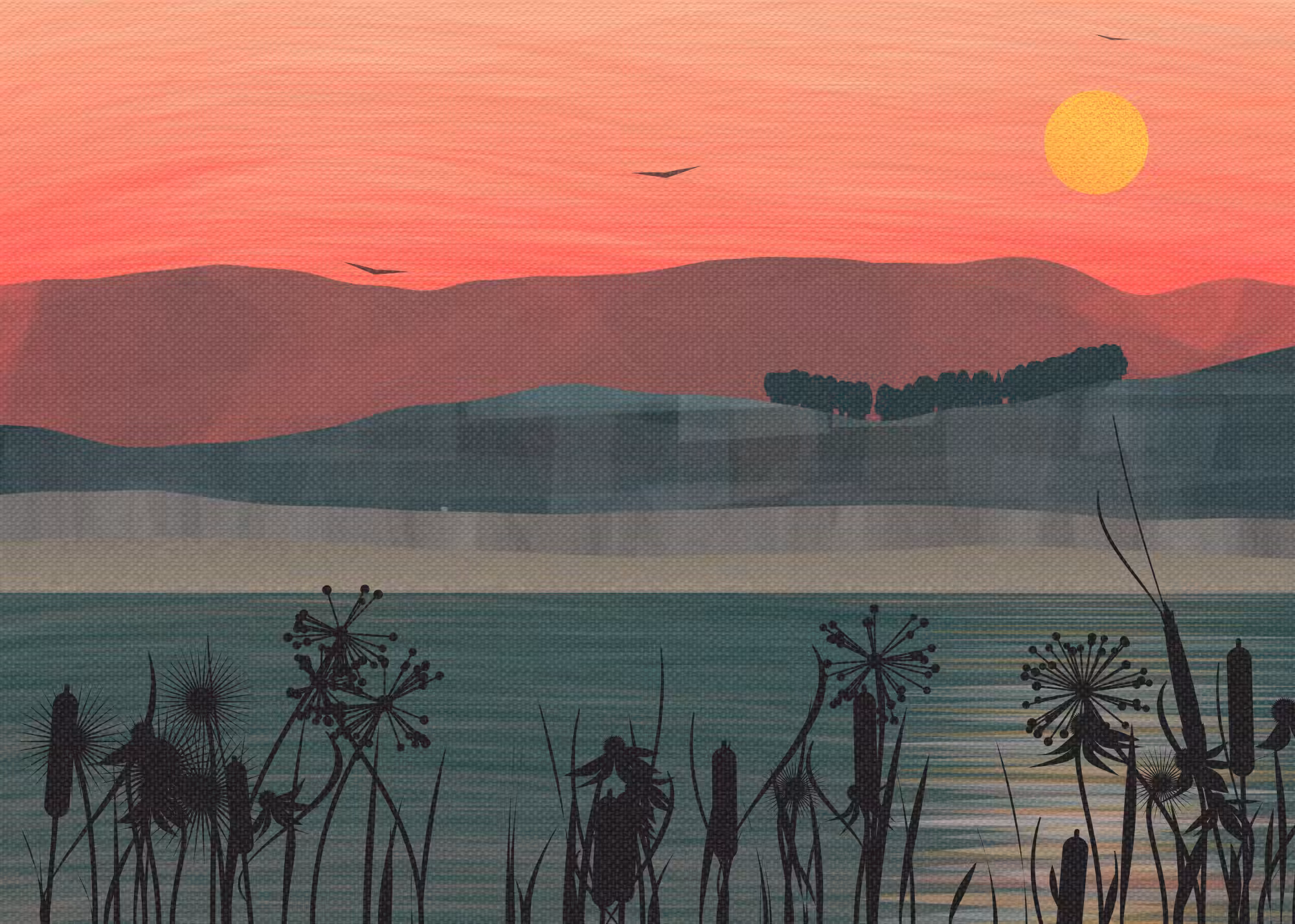 Cymru #63