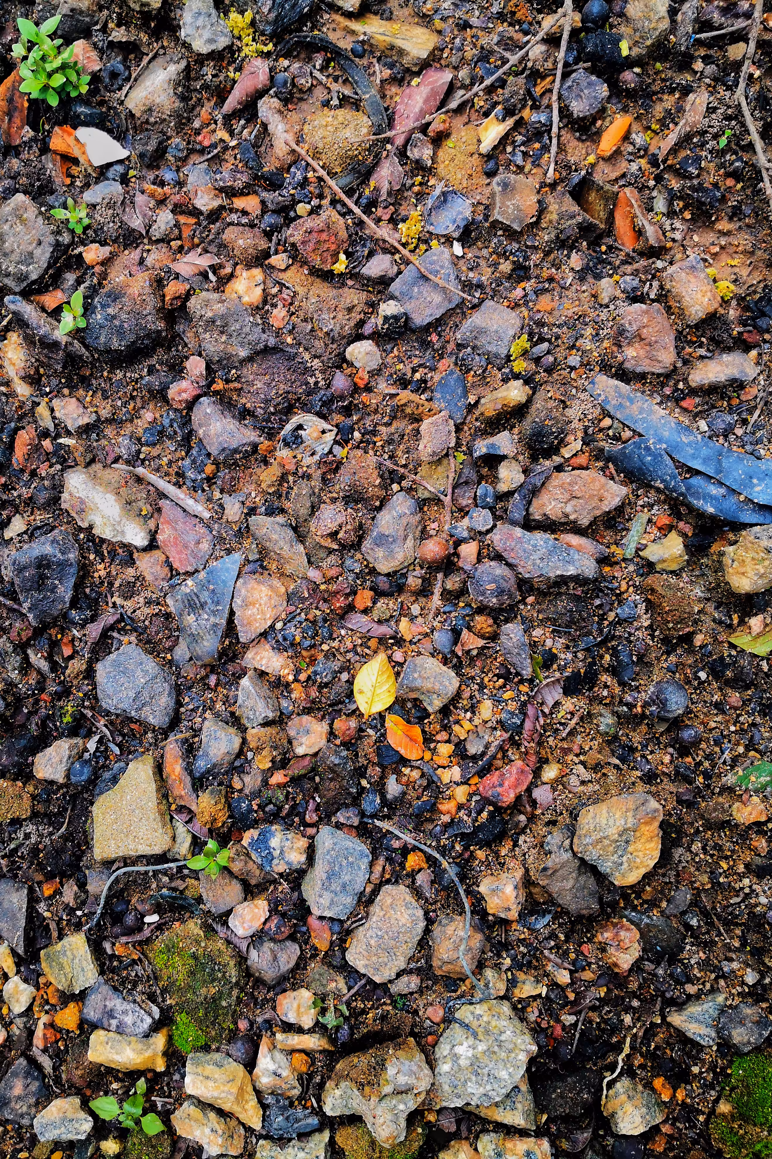 Stone Pile