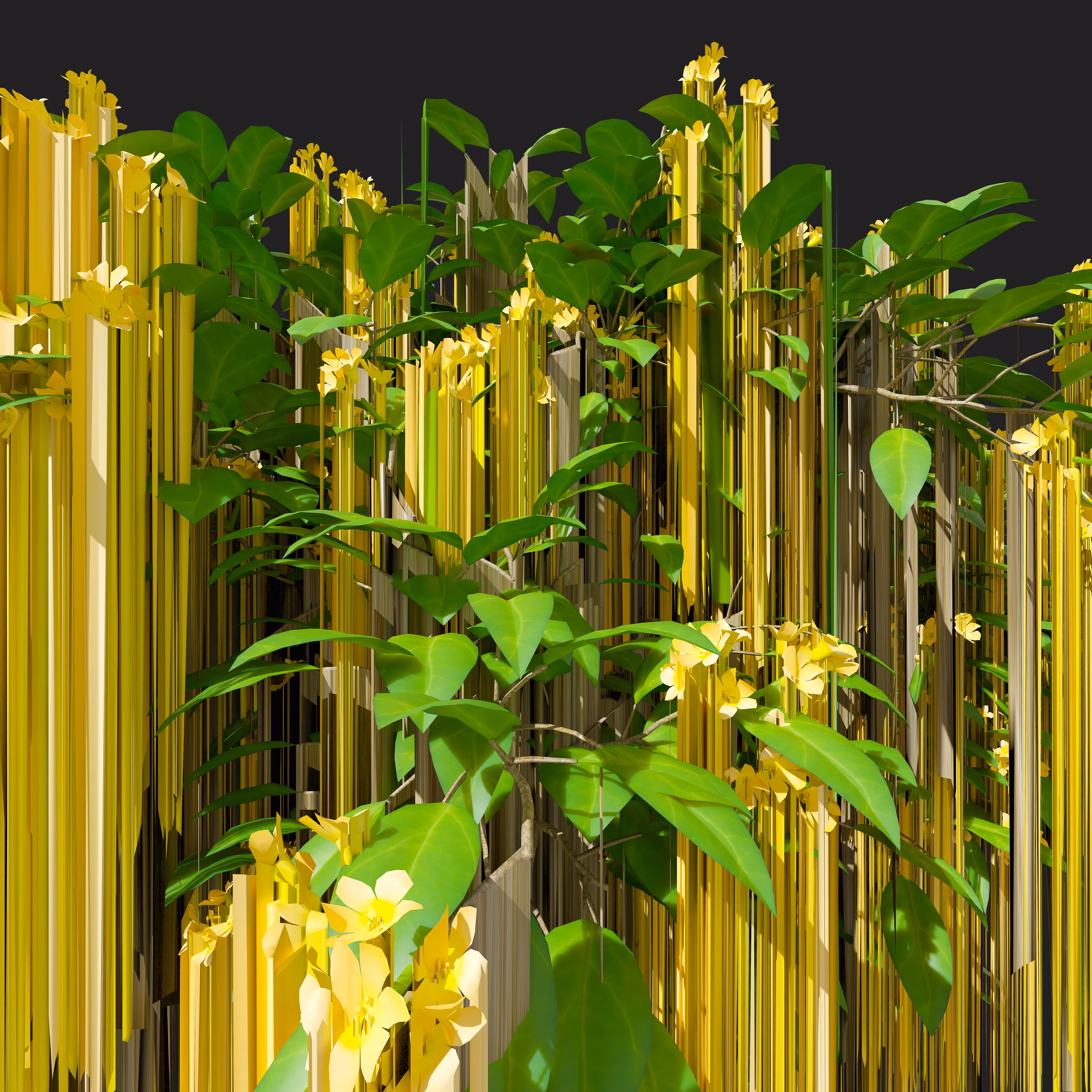 Strange Flowers 01
