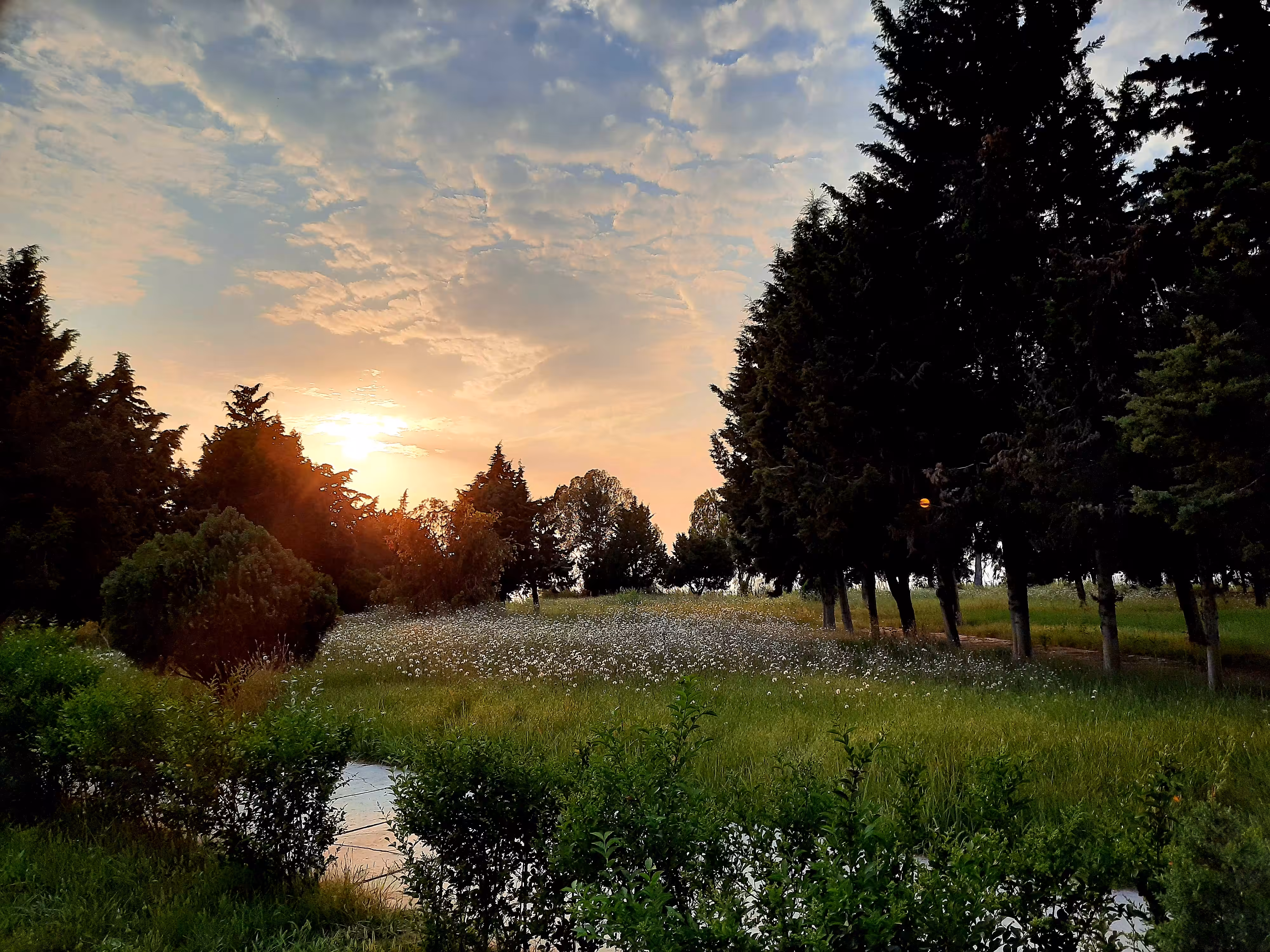 lovely sunset
