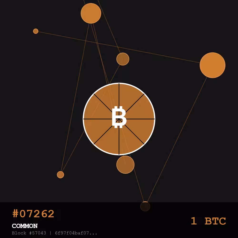  🍕Bitcoin Pizza Genesis: 10K — COMMON Edition | May 22, 2010 - The Day Everything Changed