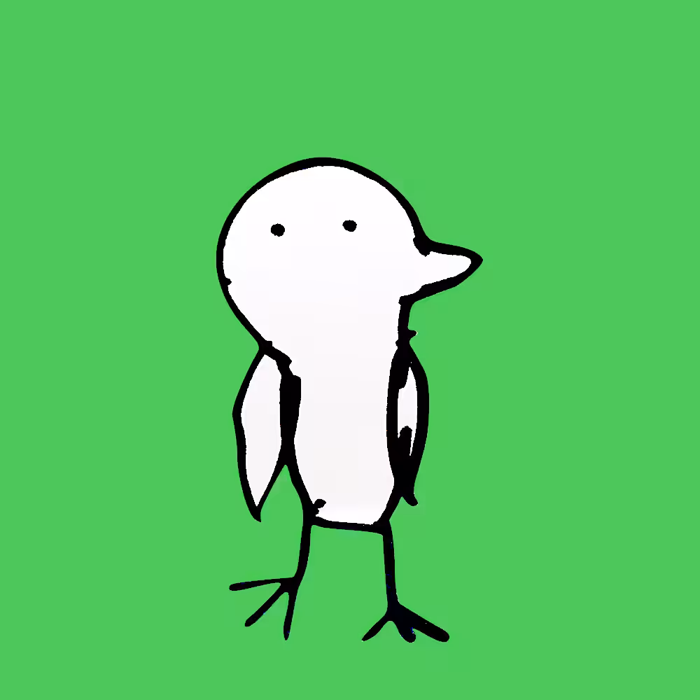 Bird
