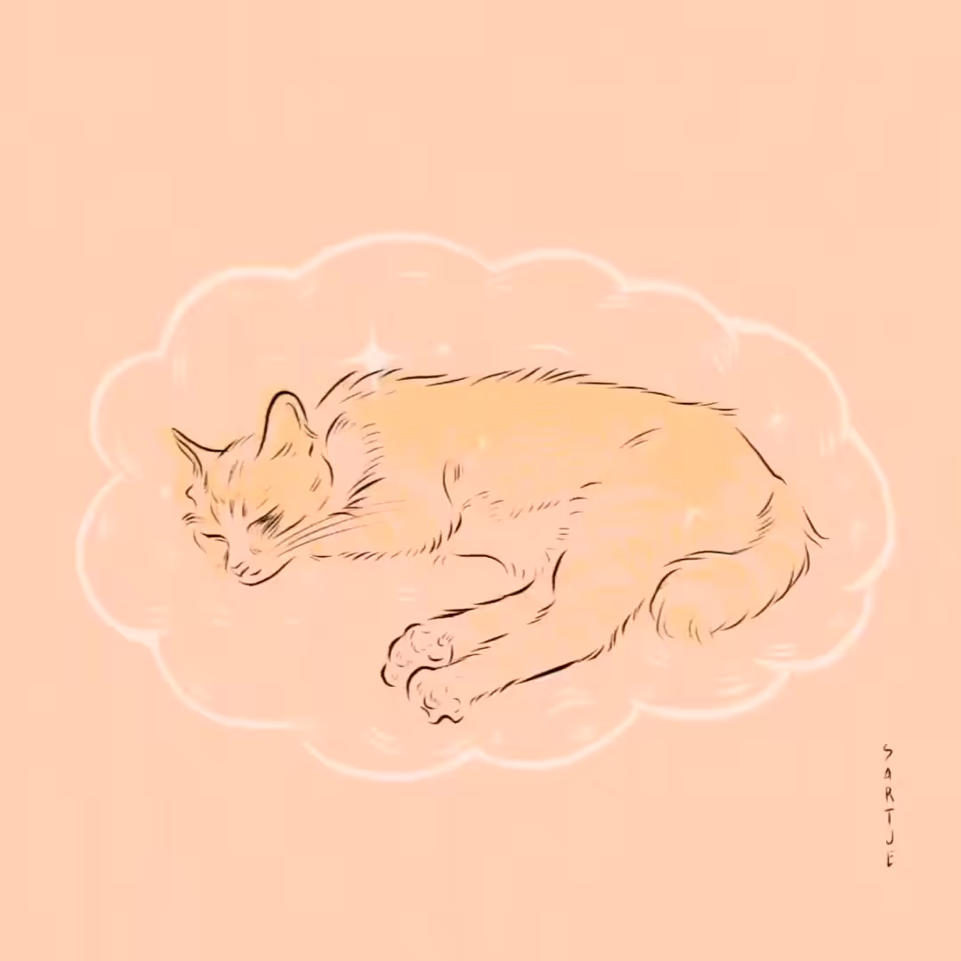 Monday Dreaming