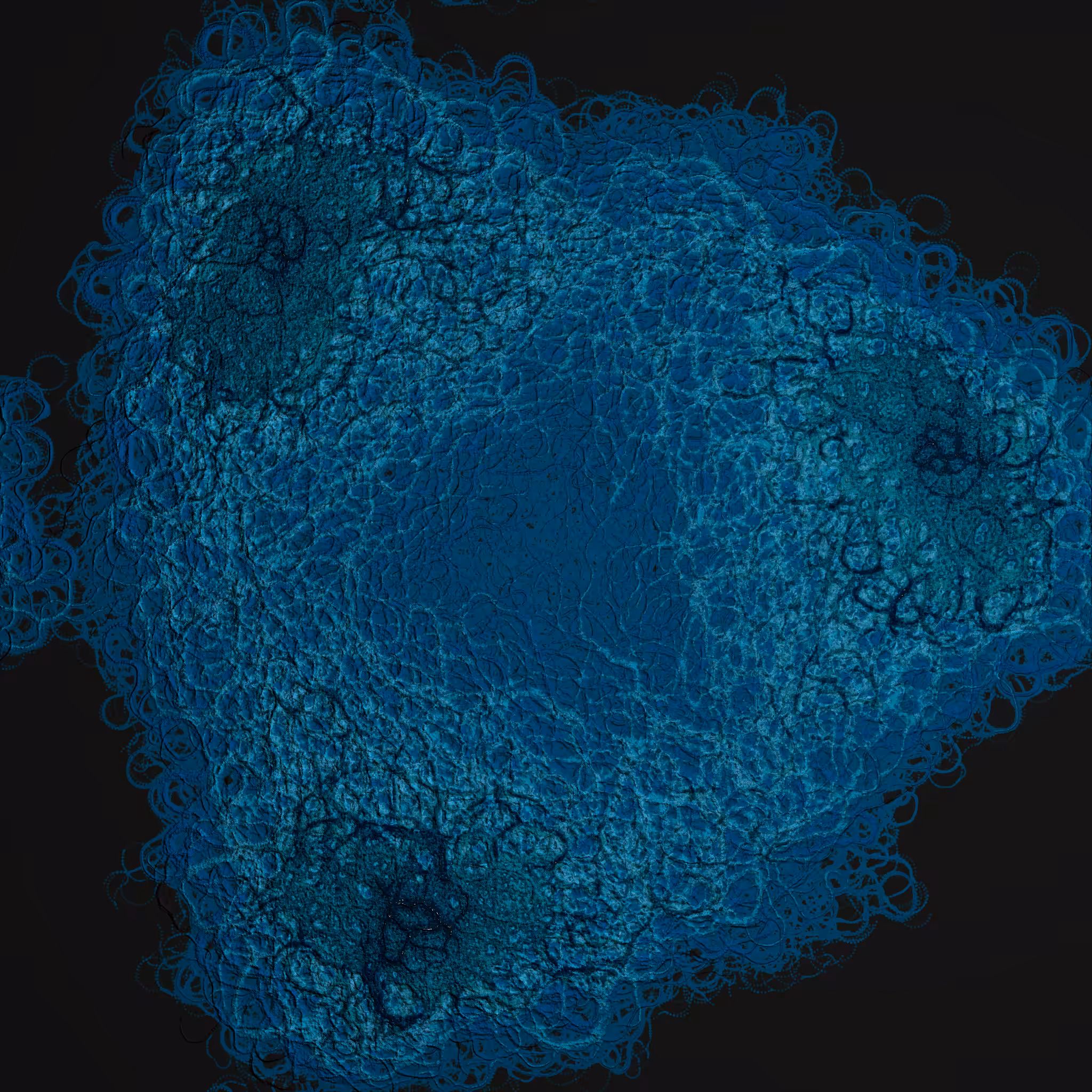 coalescence #113