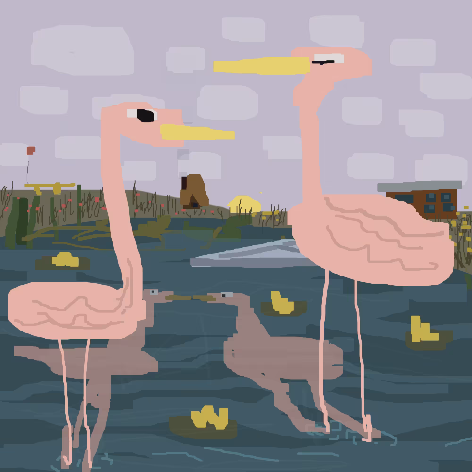 Flamingos