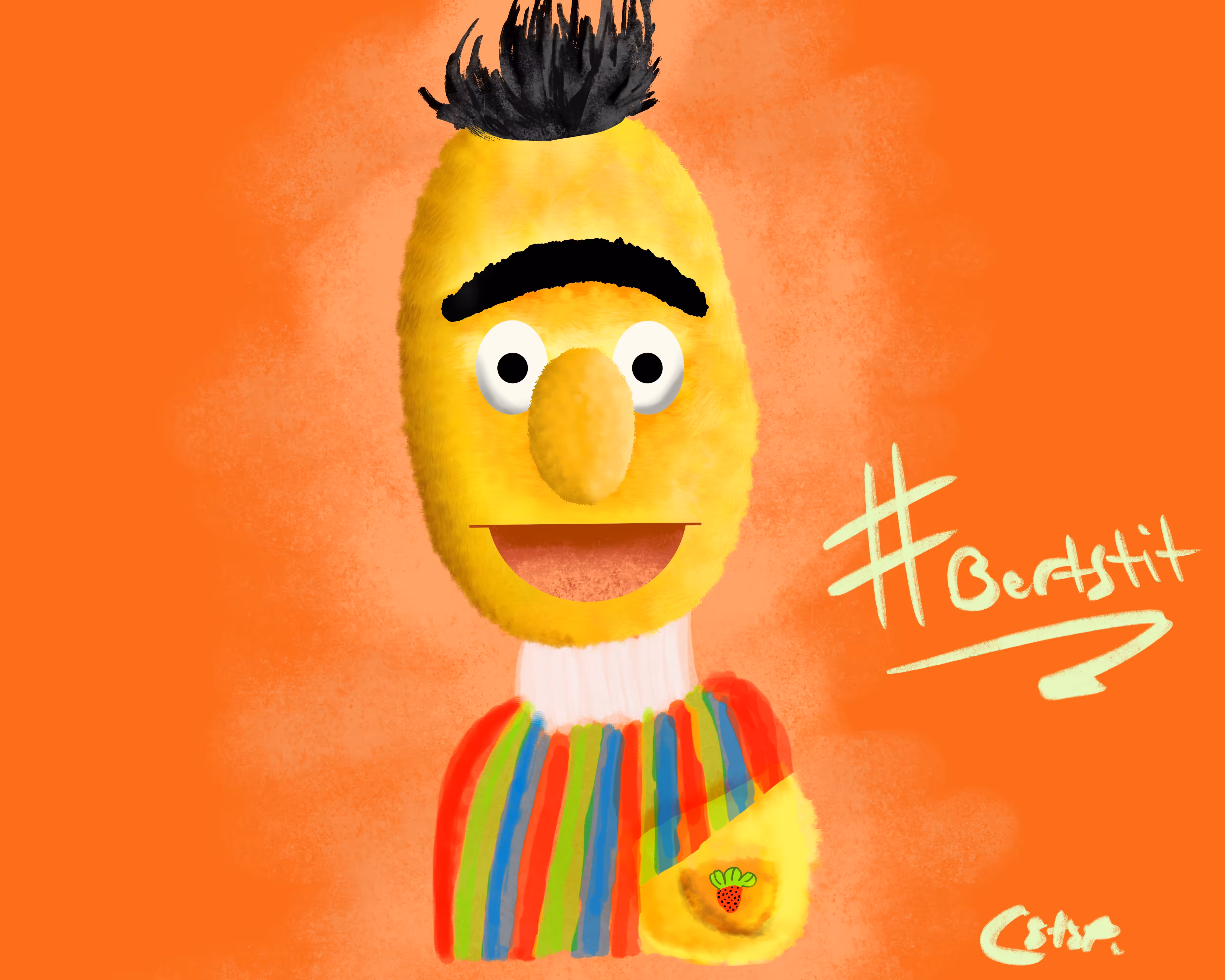 Bert's Tit - CSTSP