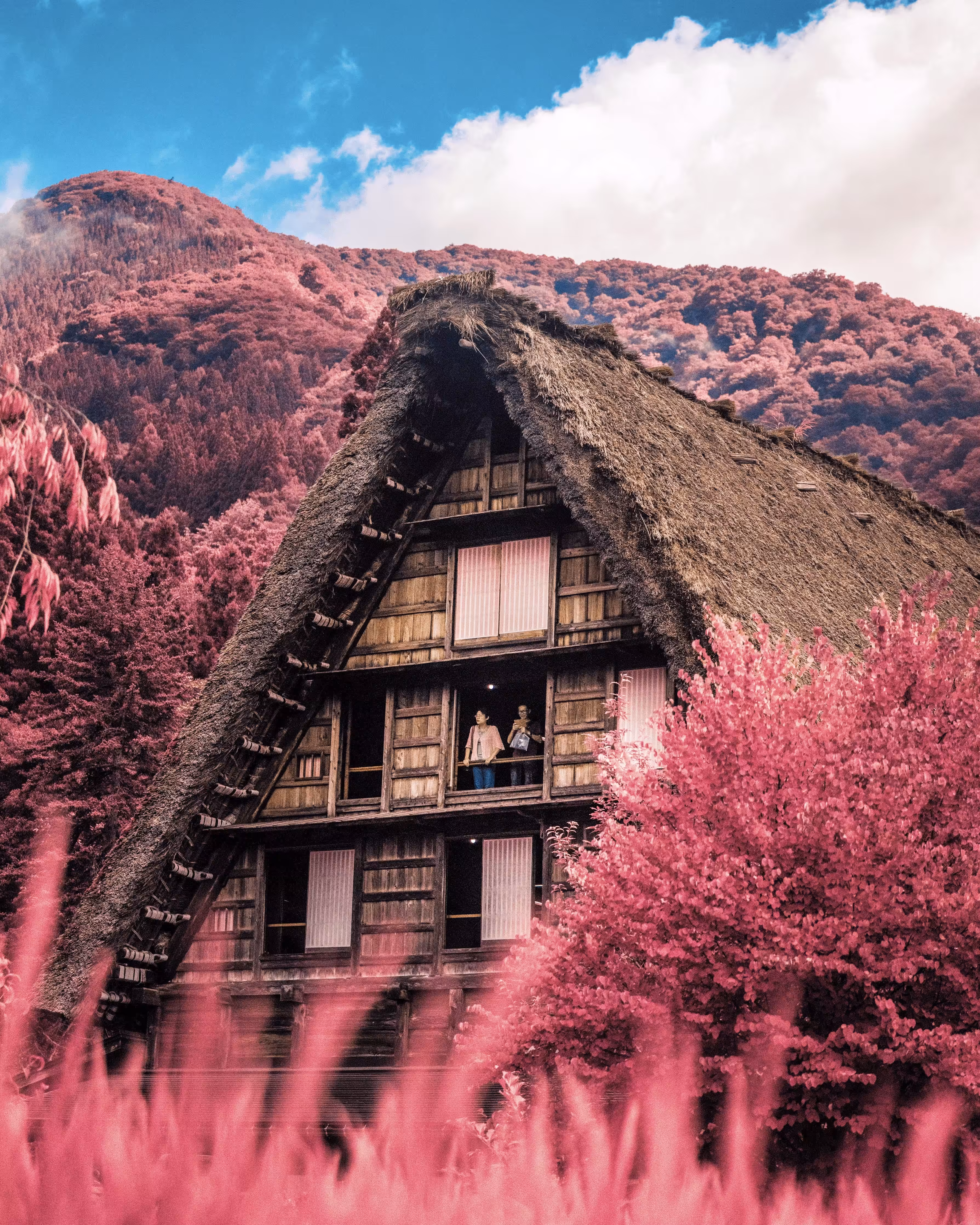 IRL 002 - SHIRAKAWA-Gō