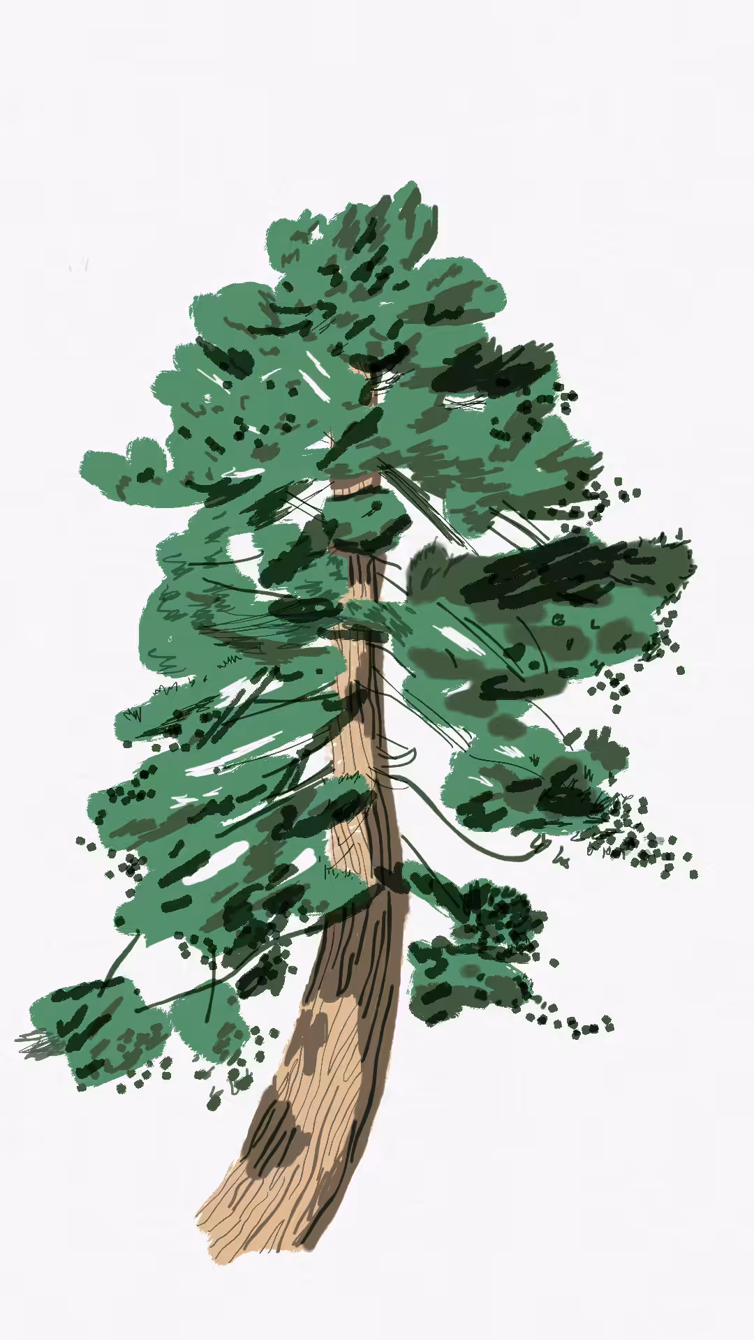 'Isolated Tree'