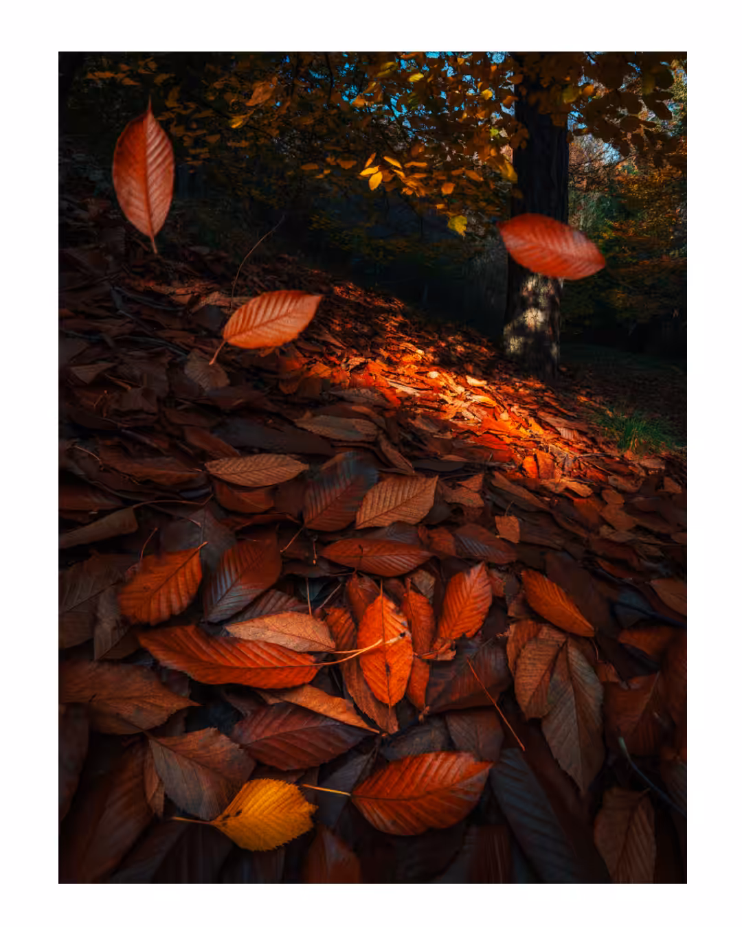 FALL