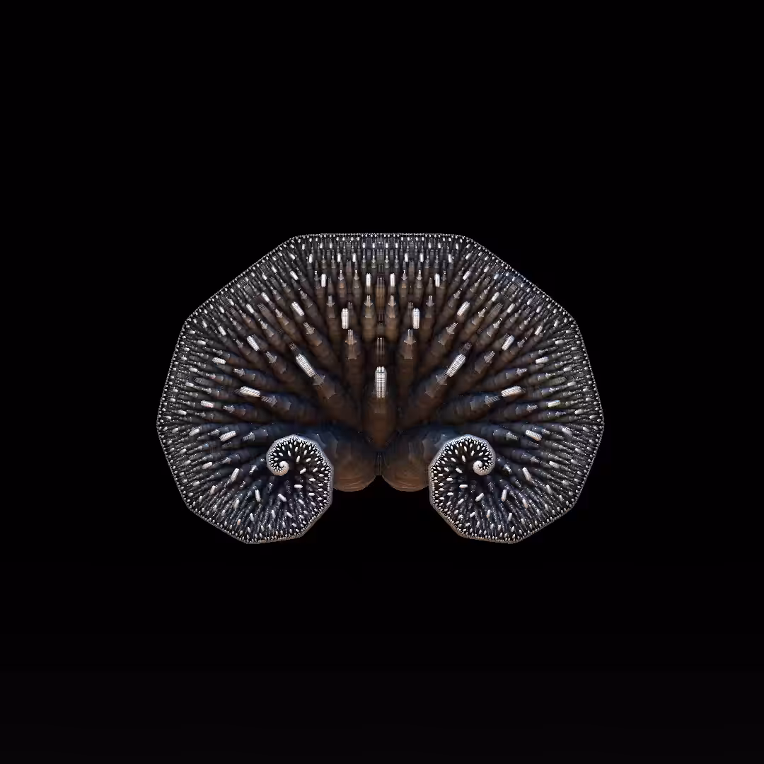 ANIMALIA