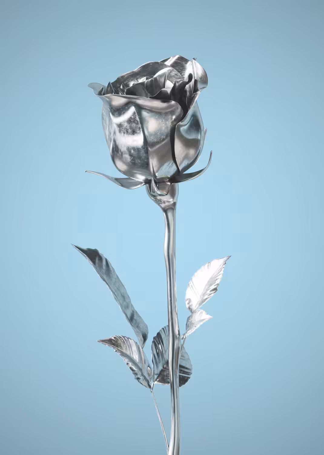 Rose #2: Silver