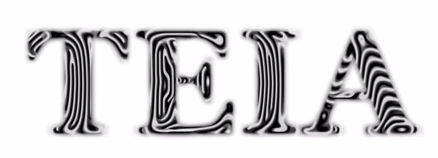 Teia Logo Study - 01