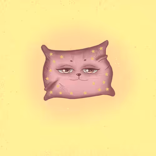 cat pillow