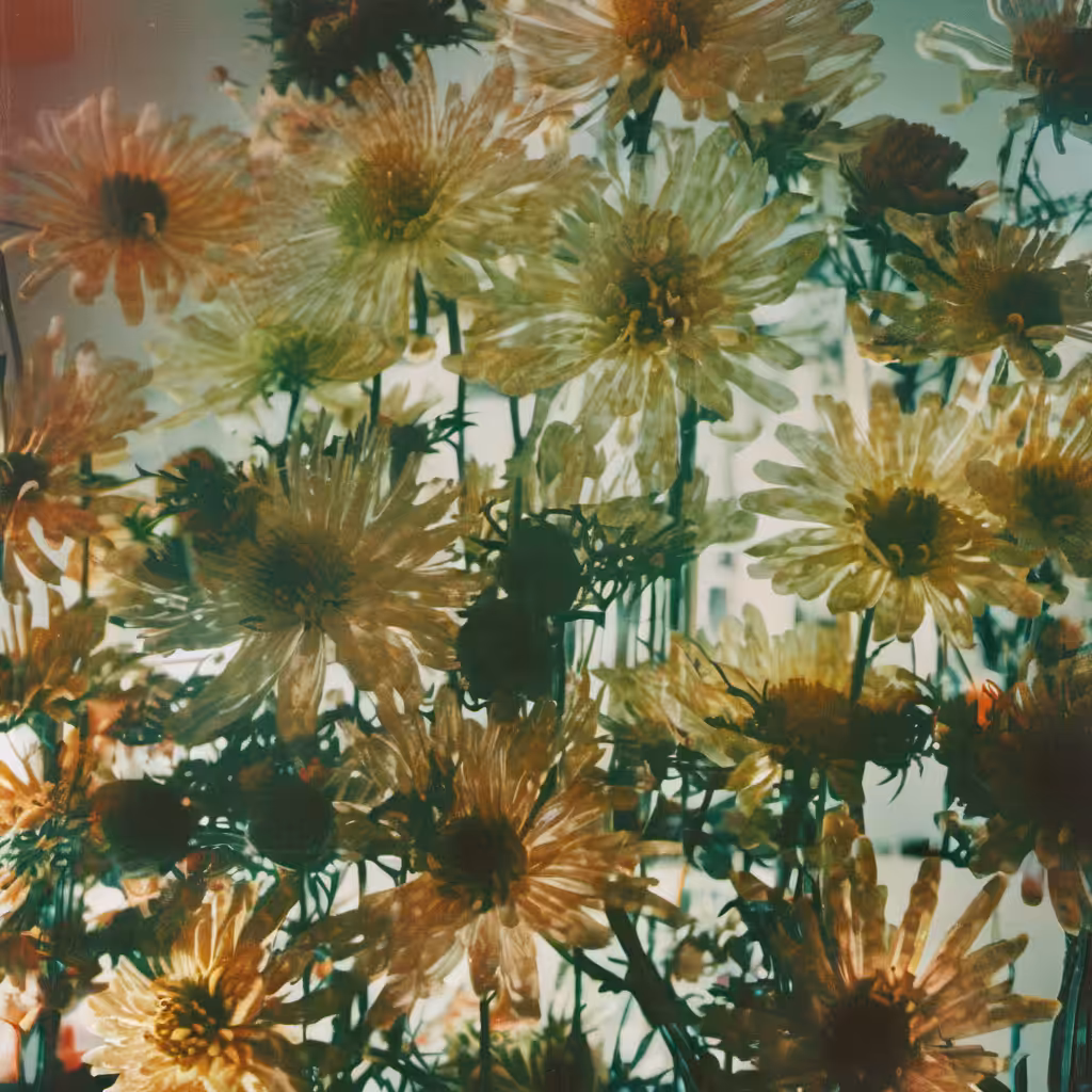 Bloom #15