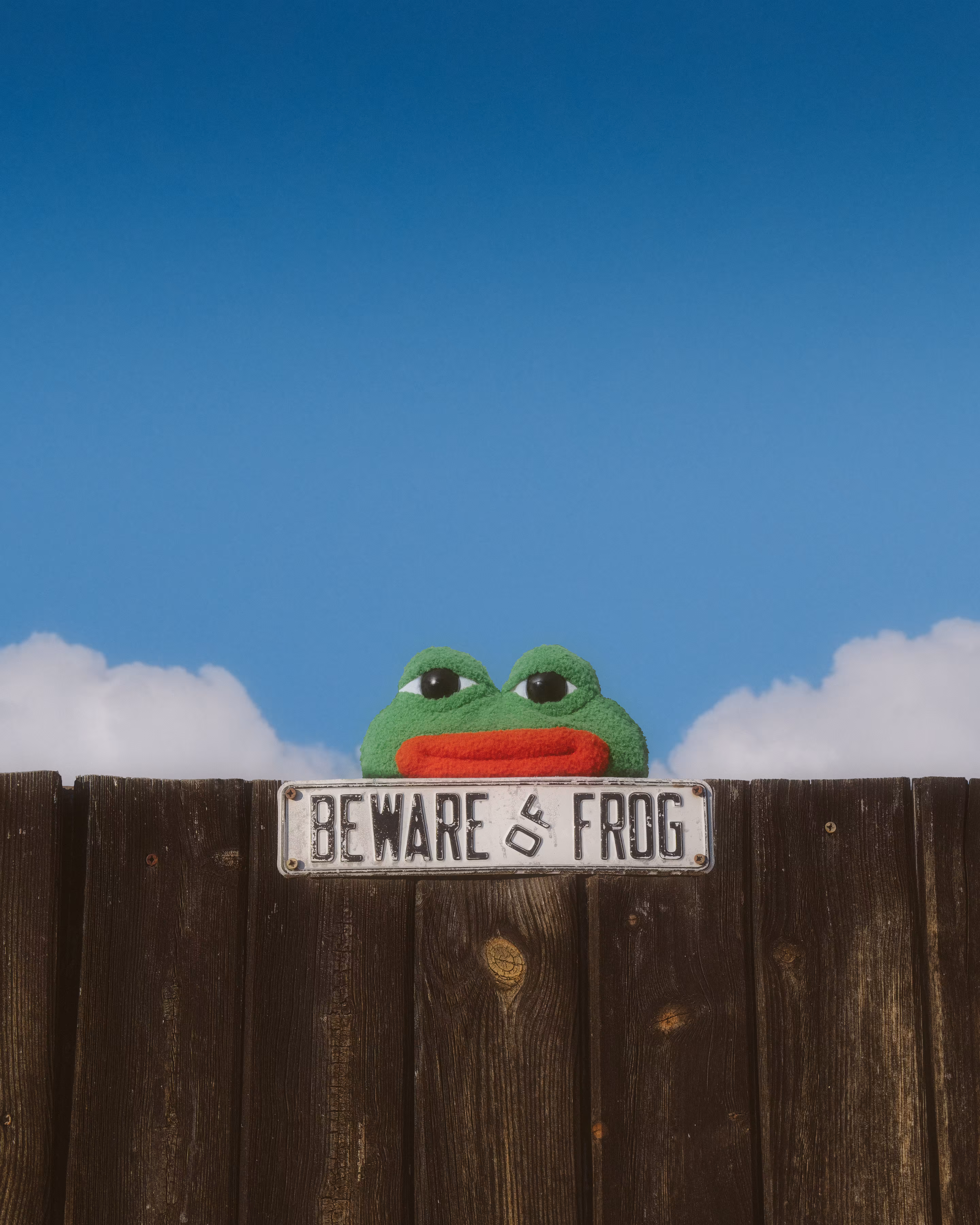 Beware of Frog