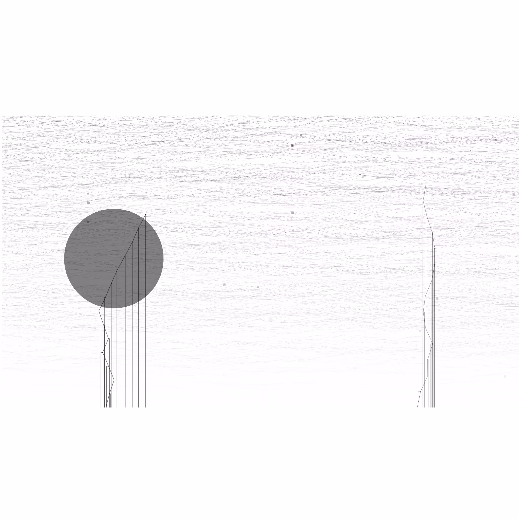 Noicities #29