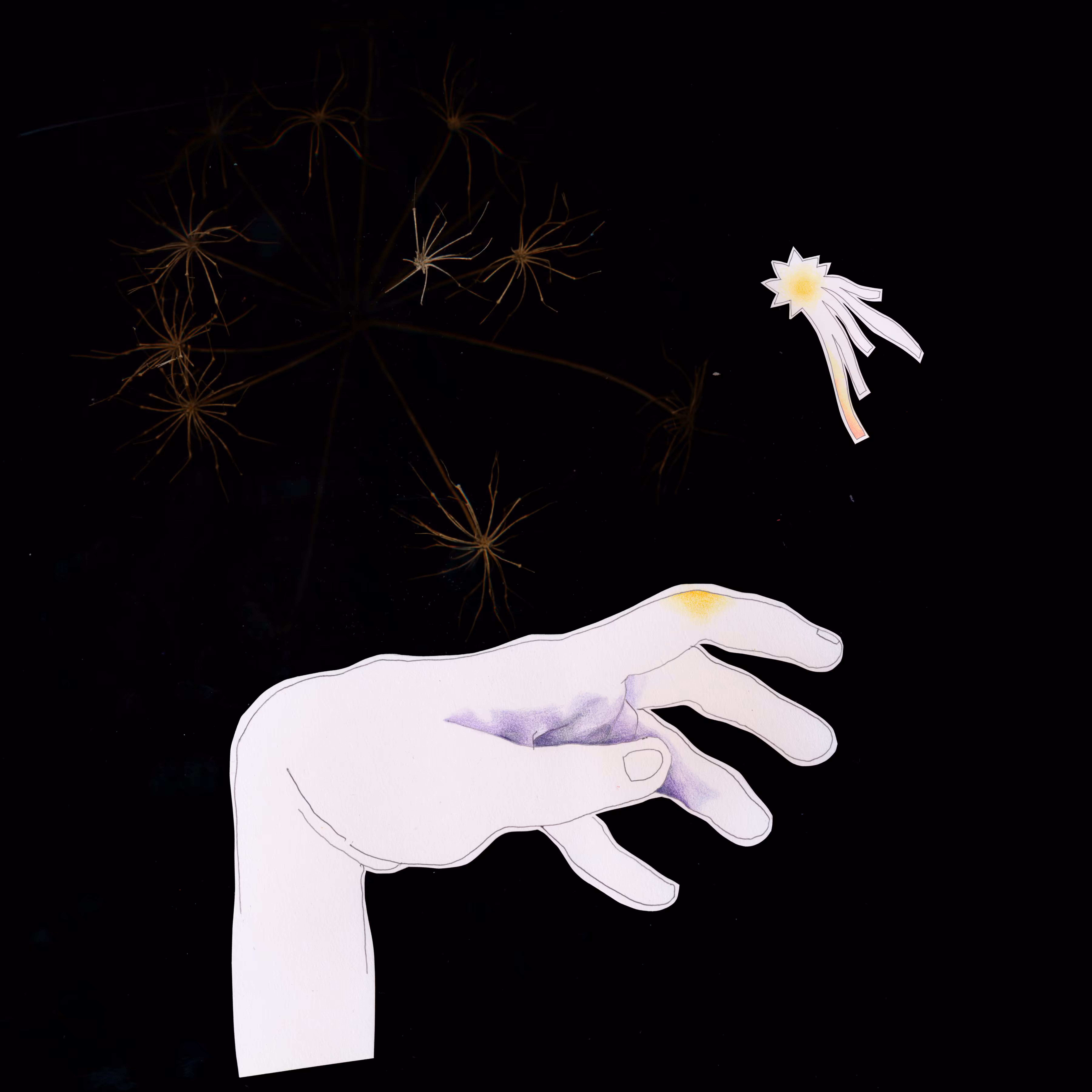 Cueillette - mains fleuries - II
