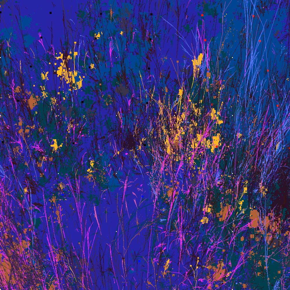 Infinite Garden: 51070 Flowers