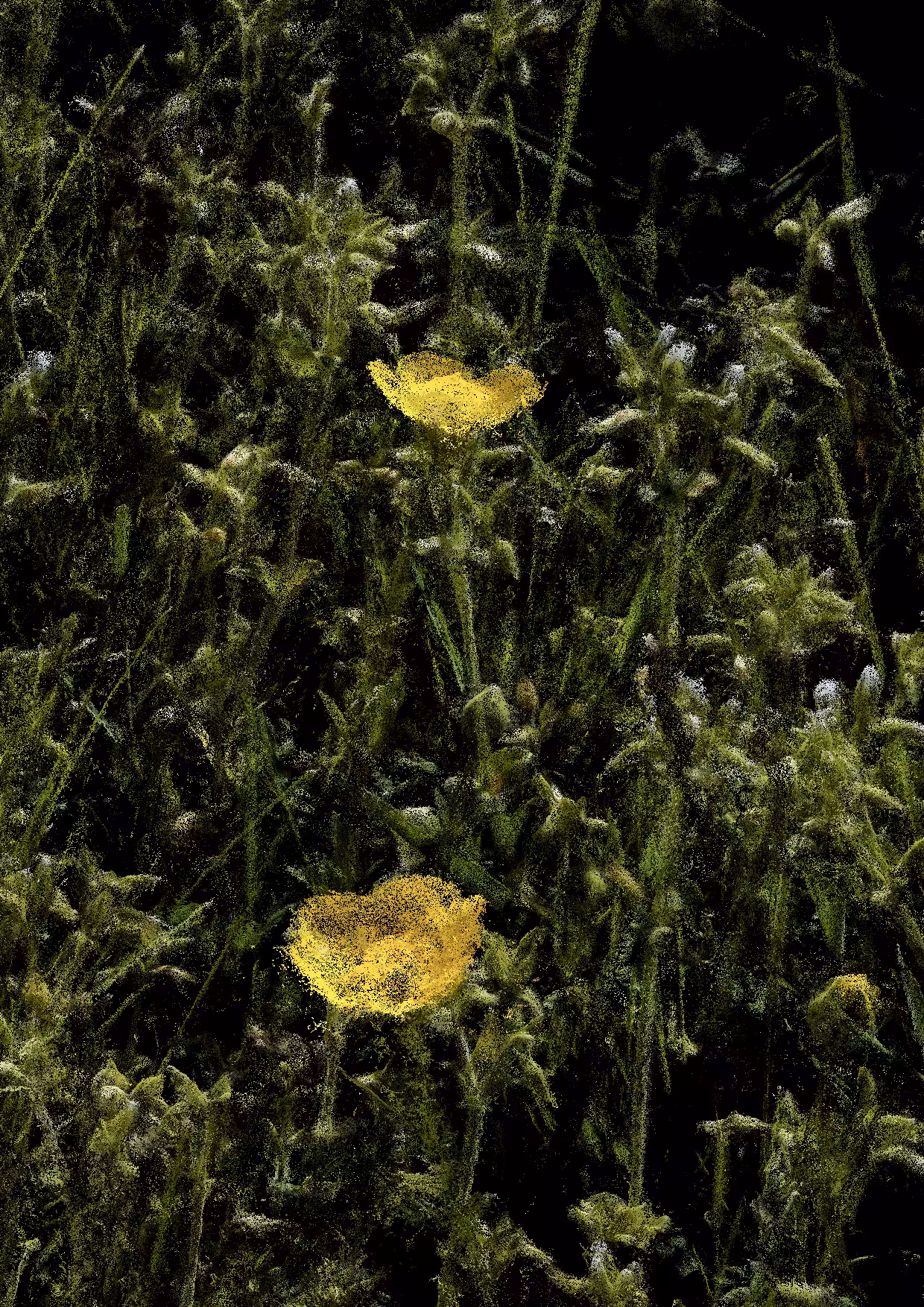 Overgrowth 0346