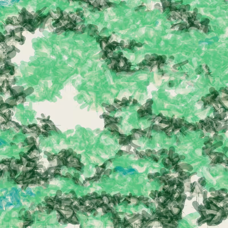 Petri 1500 #541