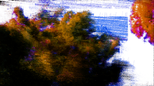 A Windy Day
