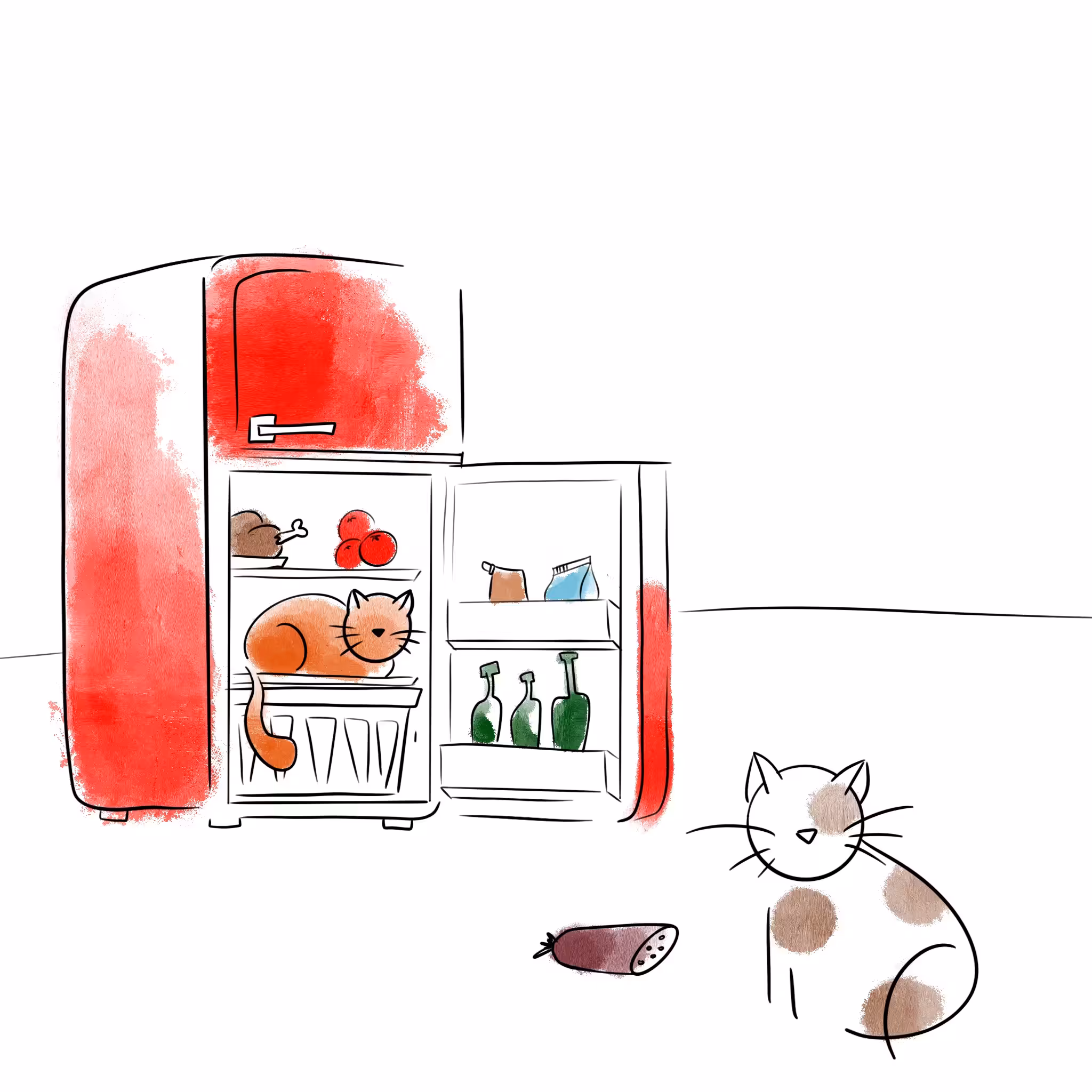 Cat Day
