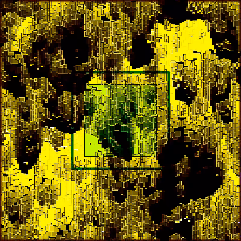 X-Ray #11