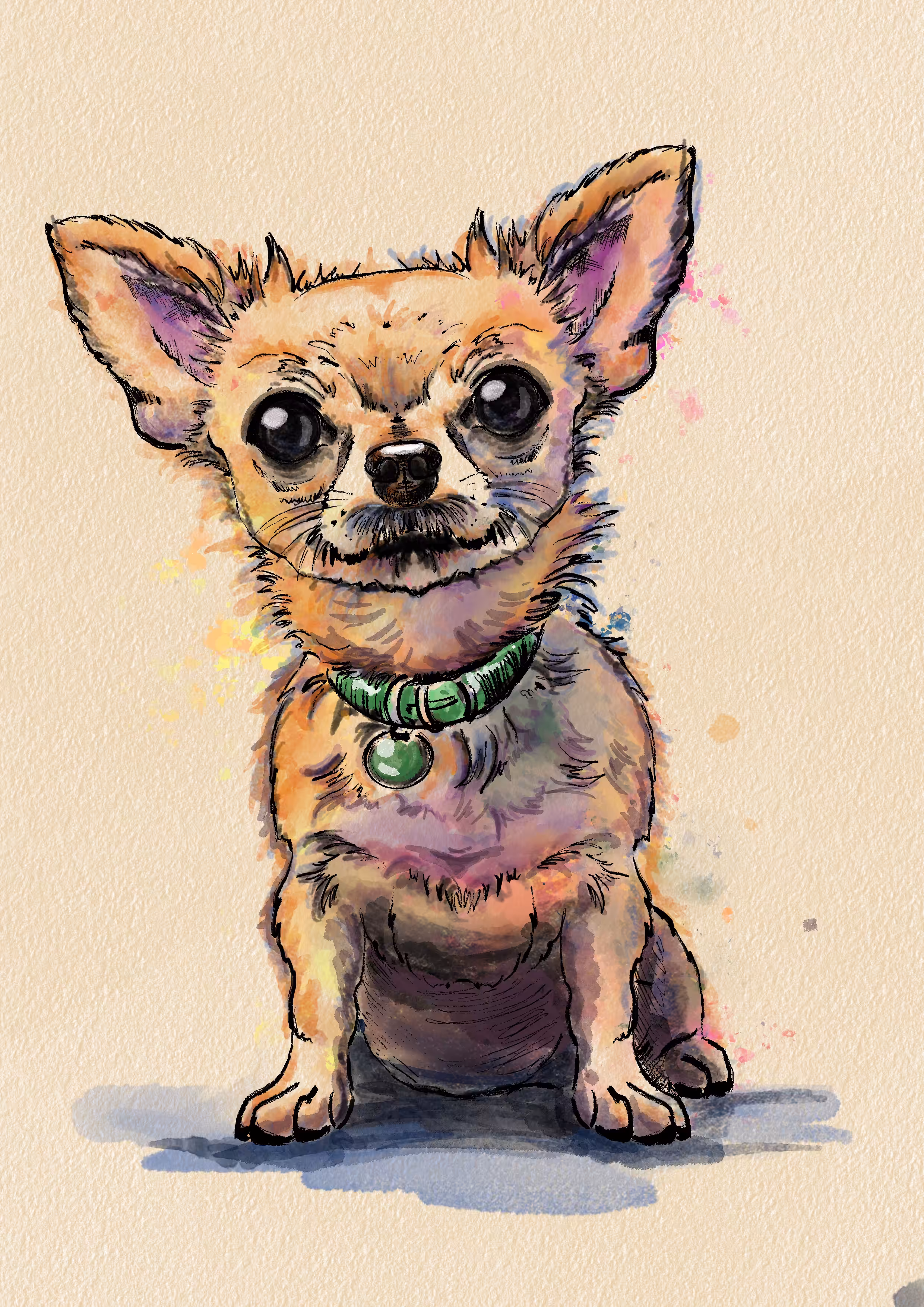 A little dog with a huge soul