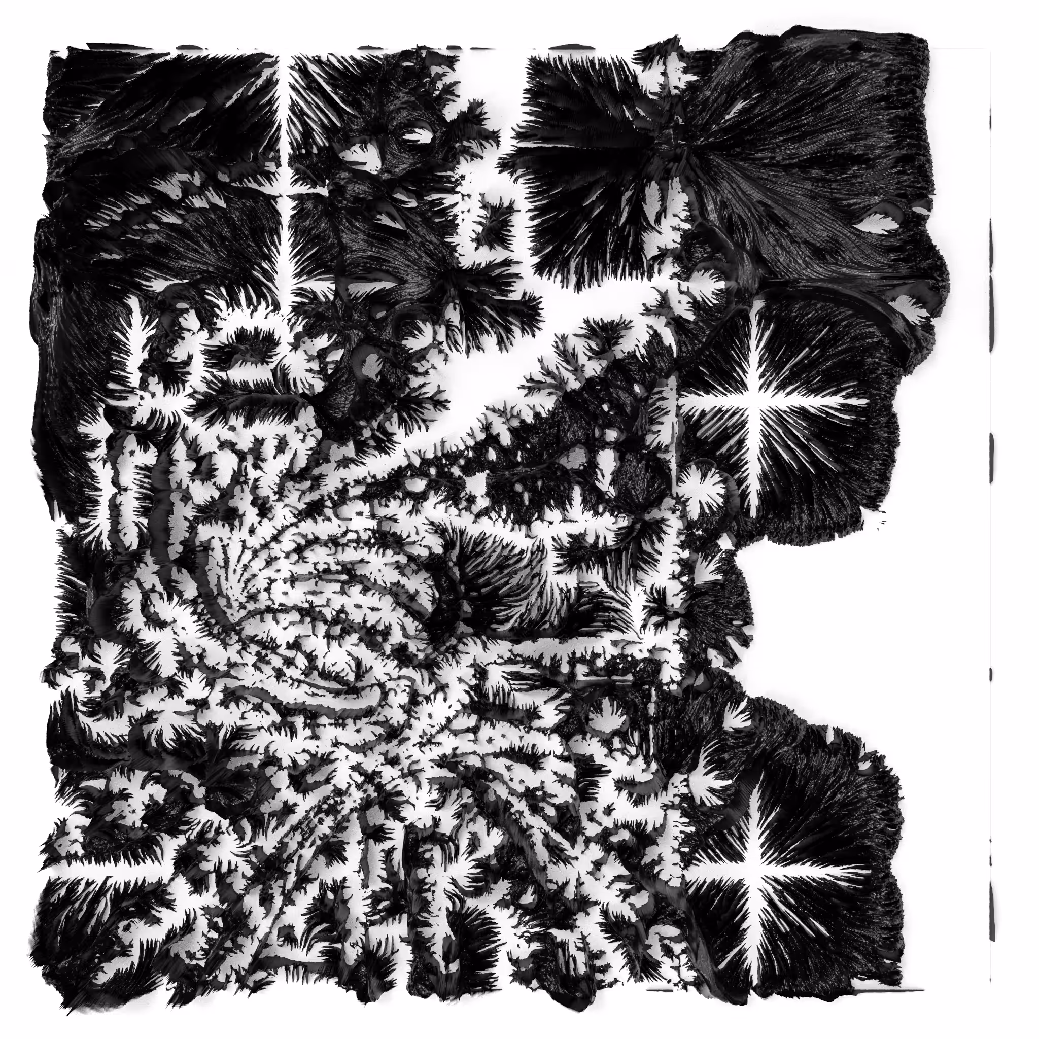BW Algoscapes 12