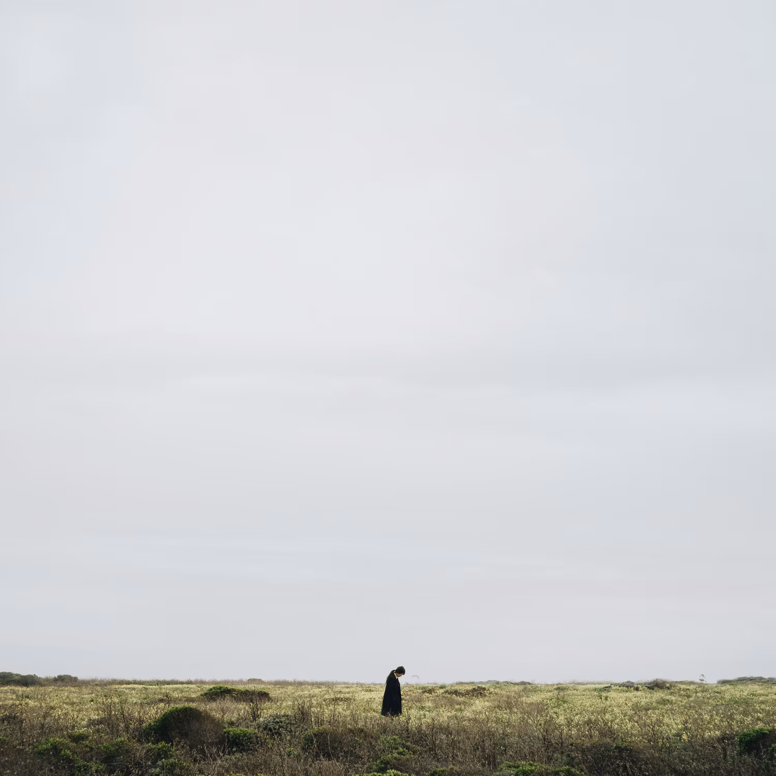 stillness